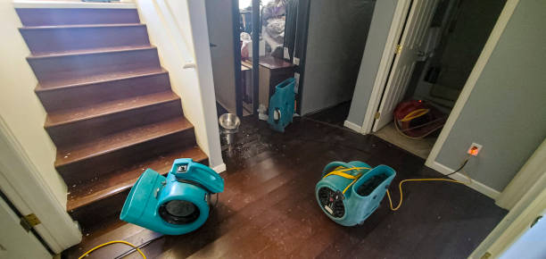 Best Water damage cleanup near me  in Mount Joy, PA