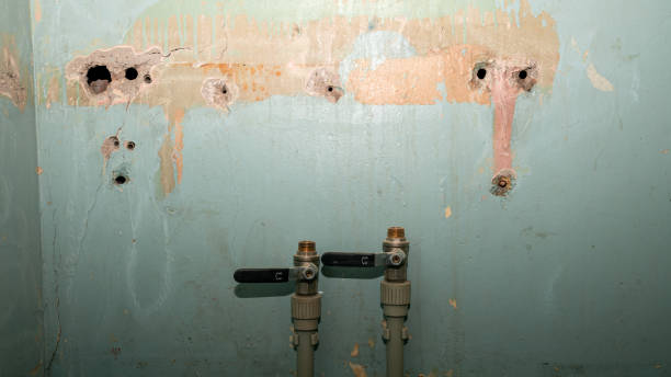 Best Water damage repair service  in Mount Joy, PA