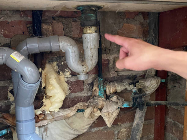 Best Residential water damage restoration  in Mount Joy, PA